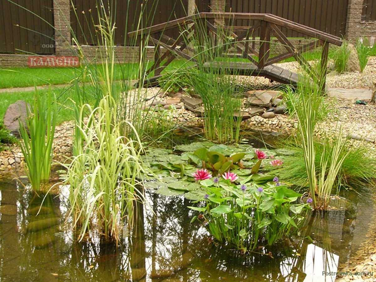 Сад у пруда: оформление ландшафтного дизайна участка с домашним водоемом