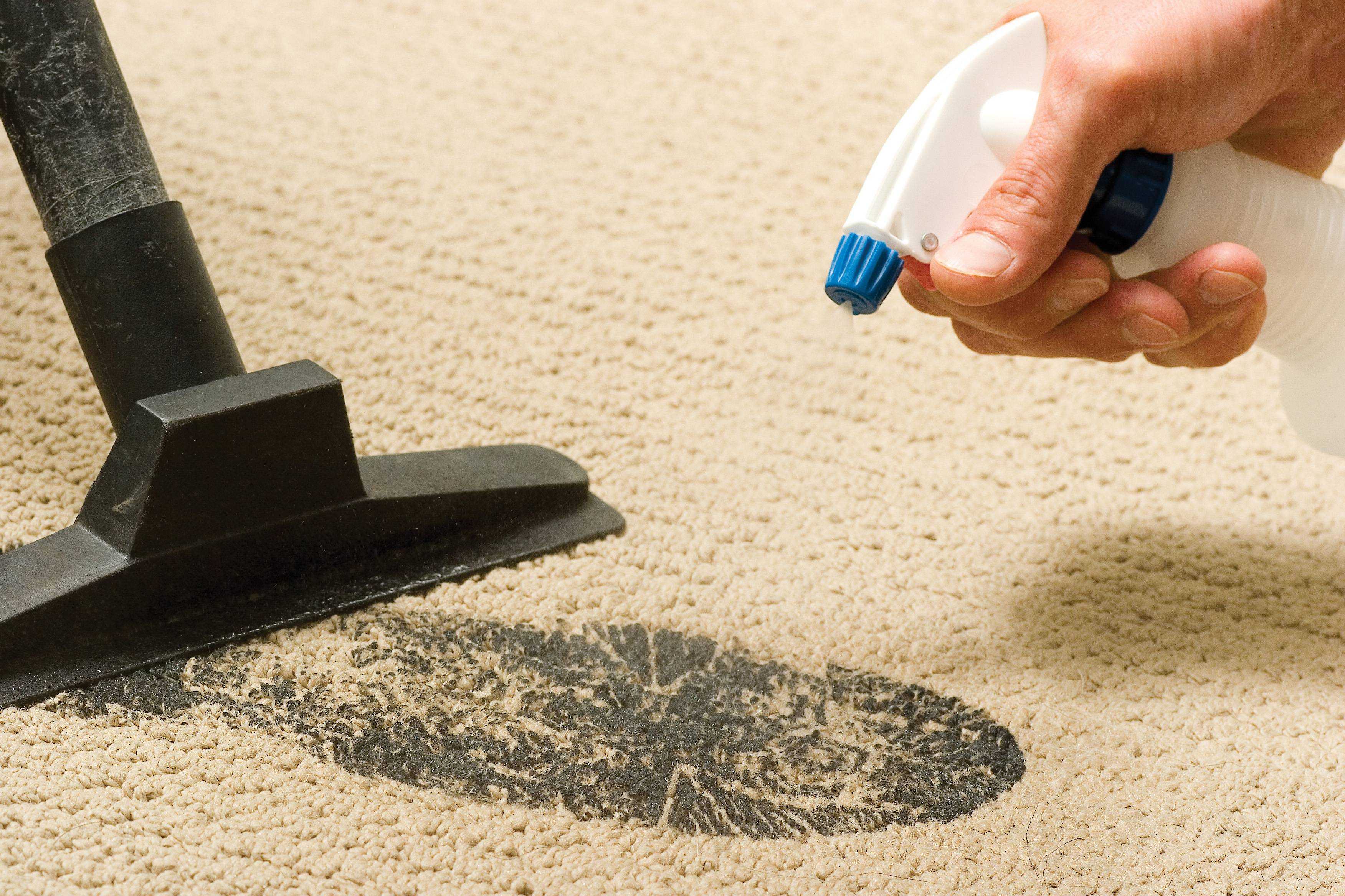 Как почистить ковролин в домашних условиях: 4 эффективных способа и советы по уходу