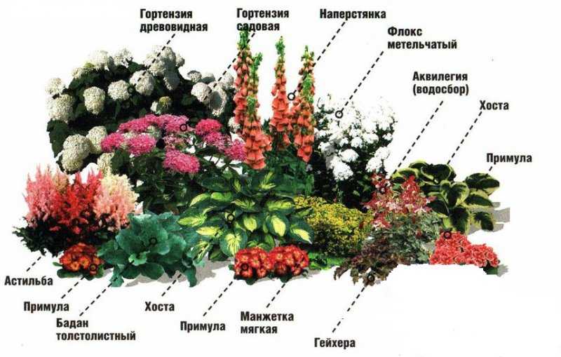 Цветник (78 фото): что это такое, посадка многолетников непрерывного цветения в саду частного дома и на даче, красивые примеры
