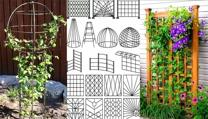 Вертикальное озеленение участка: фото конструкций, арки и перголы в саду, дизайн вертикального озеленения