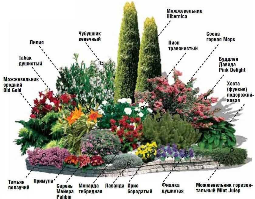 Неприхотливые цветы для сада: идеи создания клумб и участков из цветов