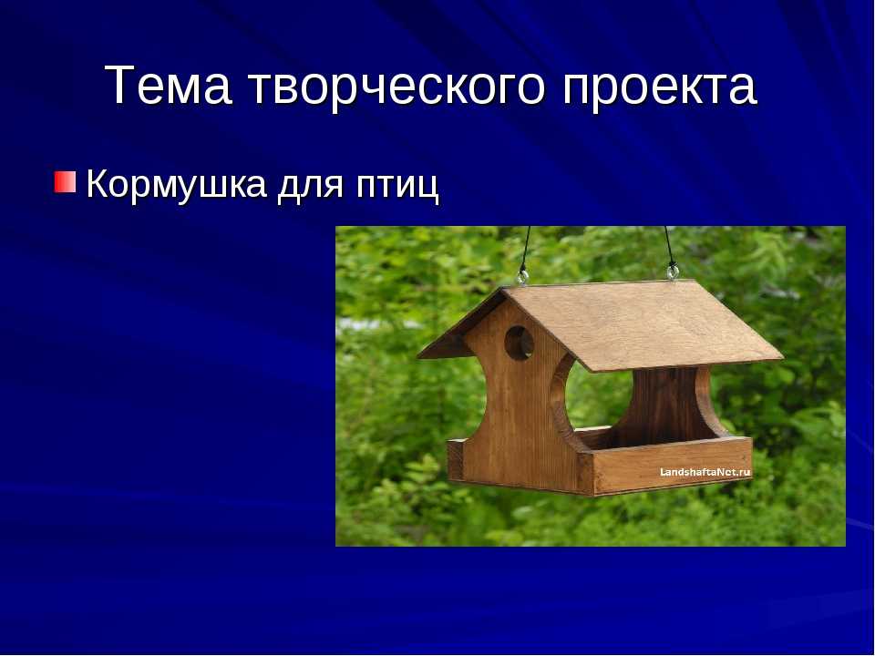 Проект можно. Проект кормушка для птиц. Проект по технологии. Проект по технологии кормушка для птиц. Творческий проект по технологии кормушка для птиц.