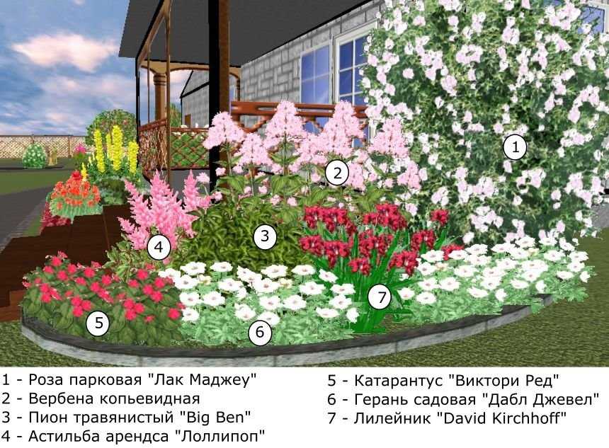 клумбы: планировка цветника перед домом: схемы размния .