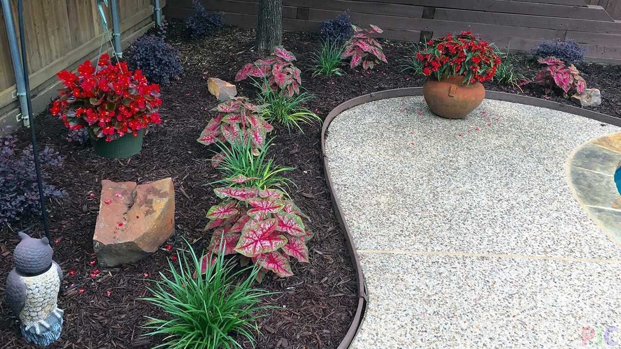 Ландшафтный дизайн клумб (69 фото): оформление цветников перед домом своими руками, варианты с хвойниками и цветами