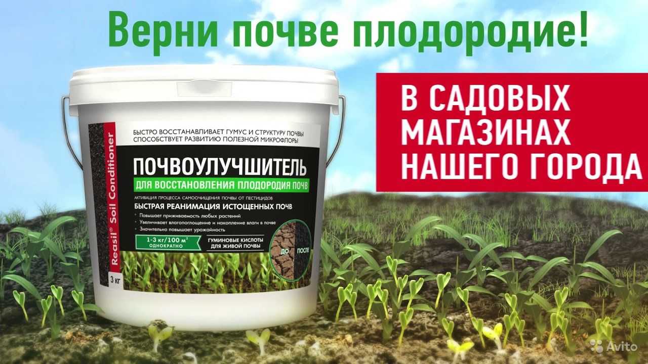 Способы повышения плодородия почвы — ботаничка.ru