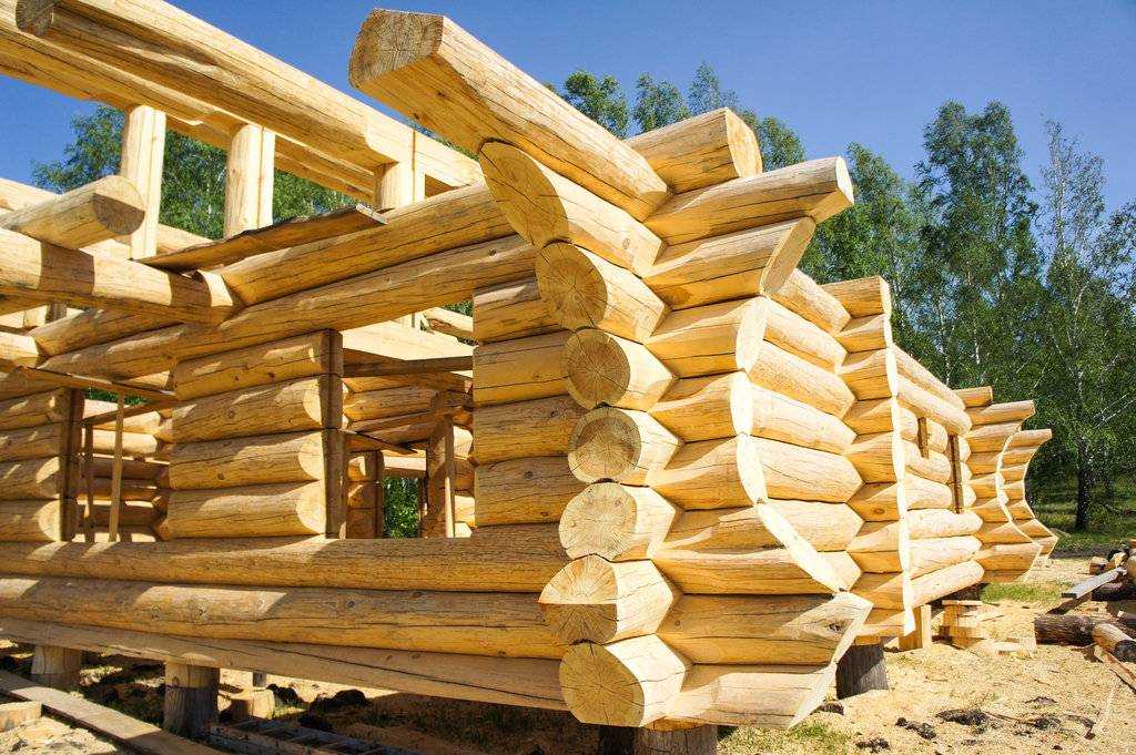 Этапы строительства деревянного дома: график работ