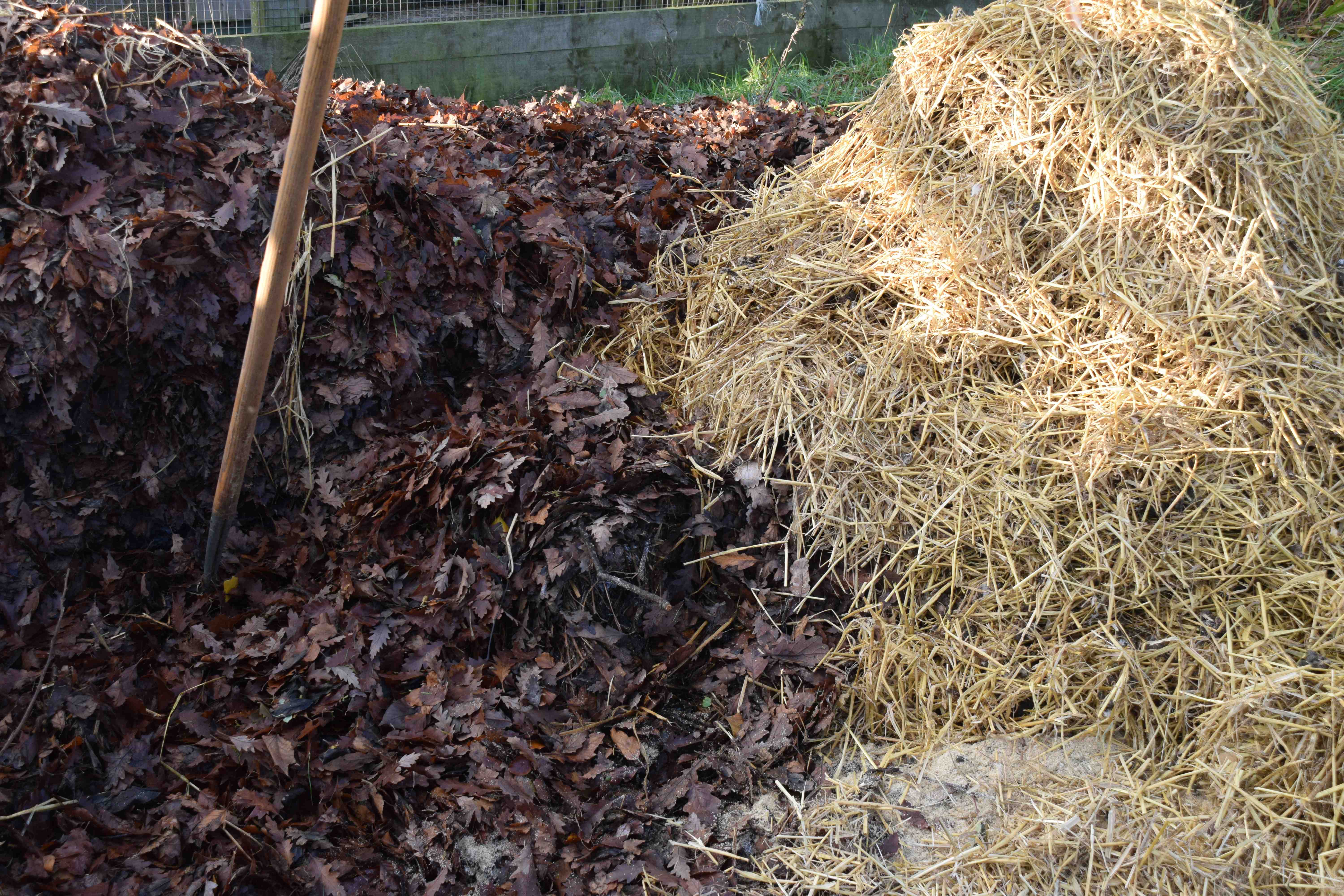 Переработка пищевых отходов в удобрения: как сделать полезный компост дома и на даче?