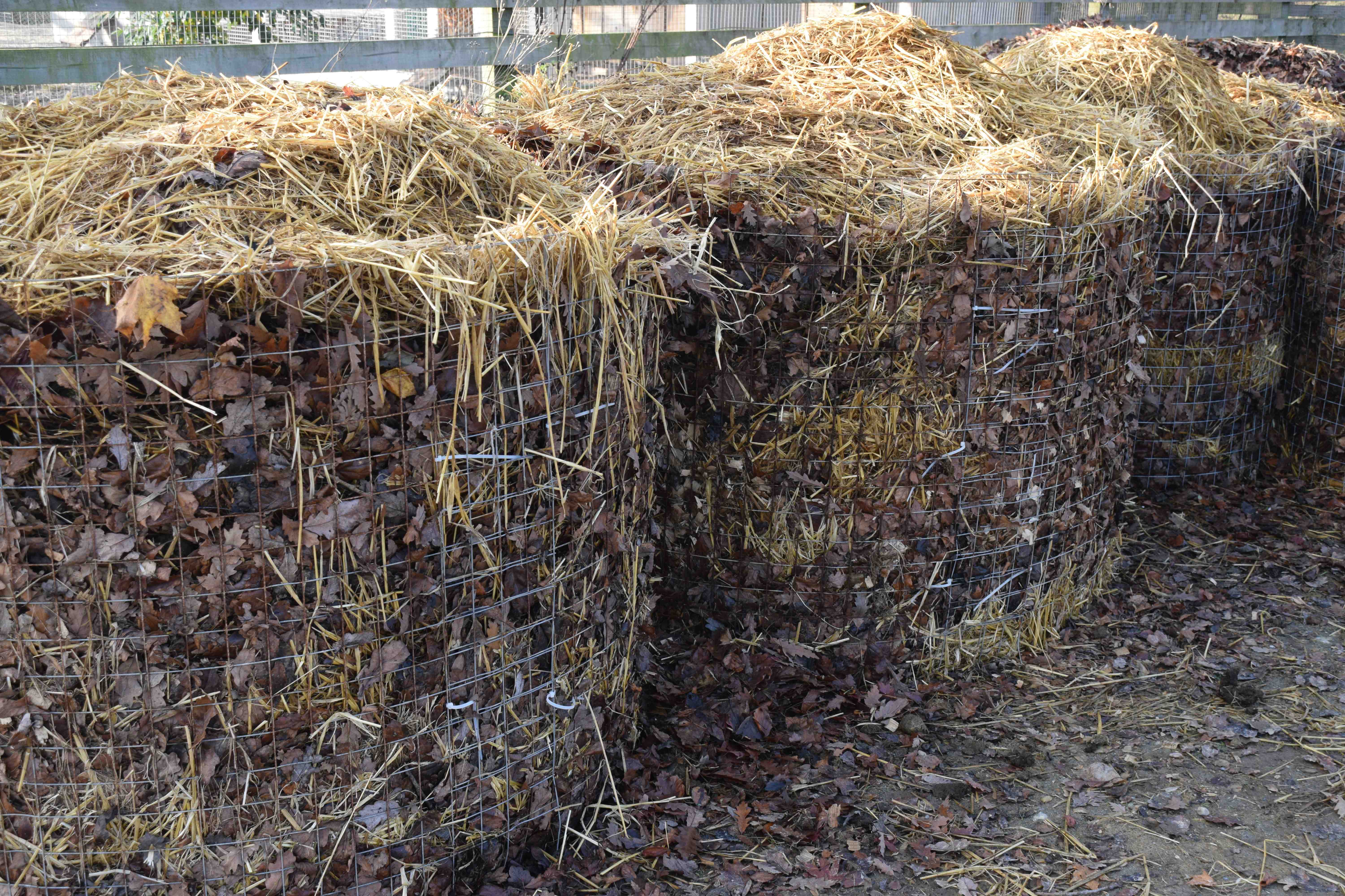Опавшая листва как удобрение: как сделать компостную яму и приготовить в ней перегной из листьев, а также как правильно применять такой компост?