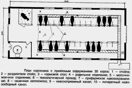 Строительство коровника своими руками и обустройство навозохранилища