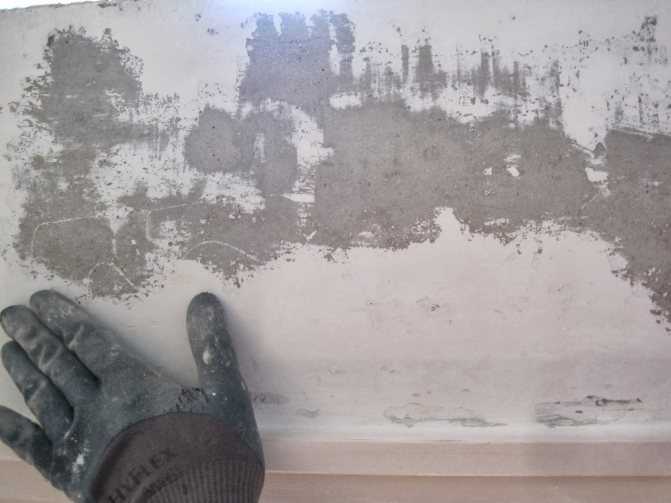 Что нужно для механического и химического способа снятия старой масляной краски с бетонных стен: как ее быстрее удалить