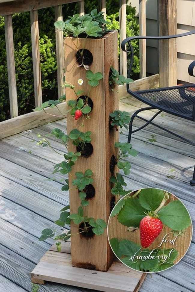 Вертикальные грядки для клубники - 110 фото как построить правильно вертикальные грядки для фруктов, цветов и овощей