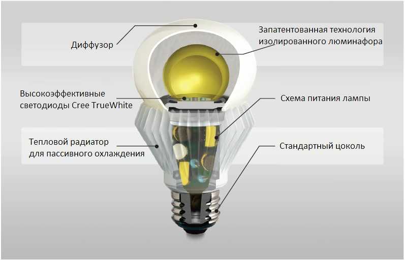 Люминесцентные светильники: виды, конструкция, правила выбора и монтаж