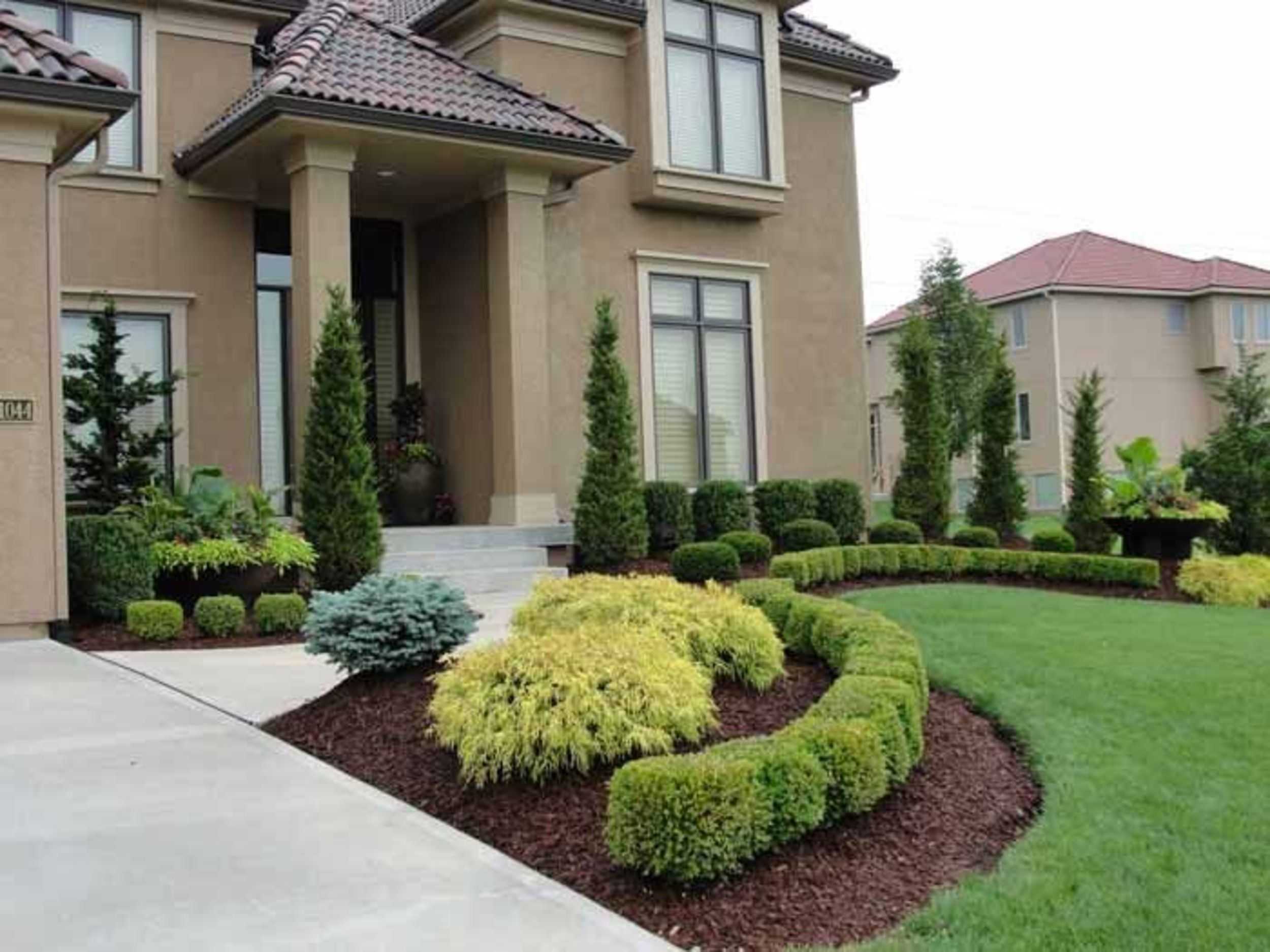 Озеленение дачного участка: фото красивого озеленения, как озеленить участок и расположить растения возле дома