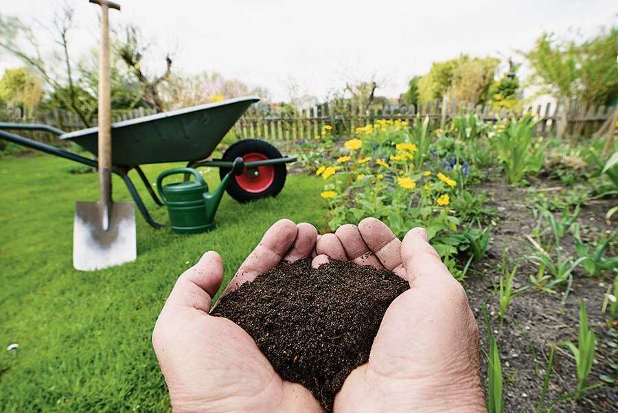 Как улучшить почву на дачном участке? 2 способа. как сделать плодородную грядку