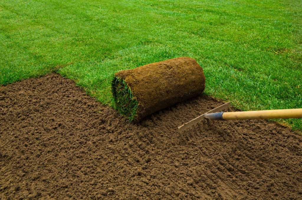 Важный этап в разбивке газона: подготовка участка и грунта под посев травы