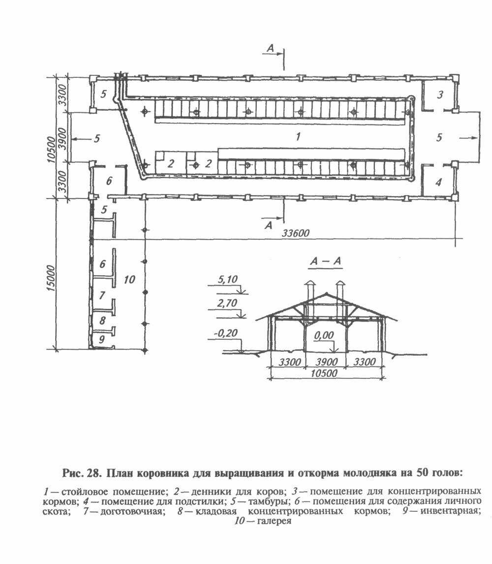 Строительство коровника своими руками и обустройство навозохранилища