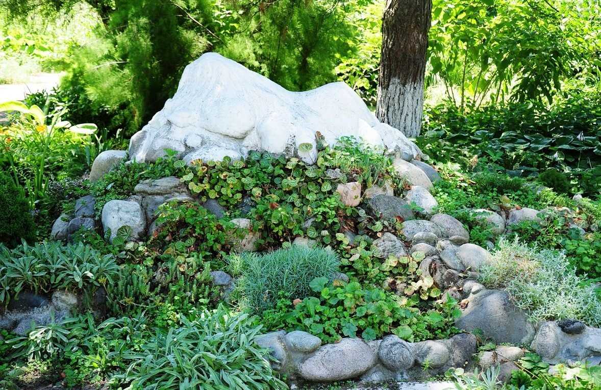 Инструкция, как своими руками сделать сад камней своими руками