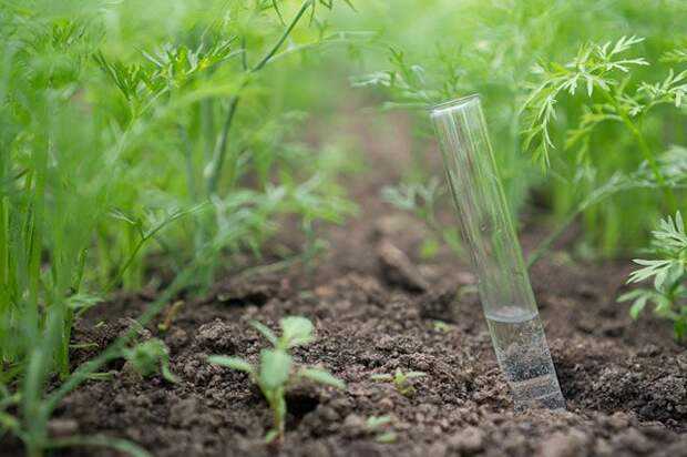 6 экологически чистых способов повысить плодородие почвы