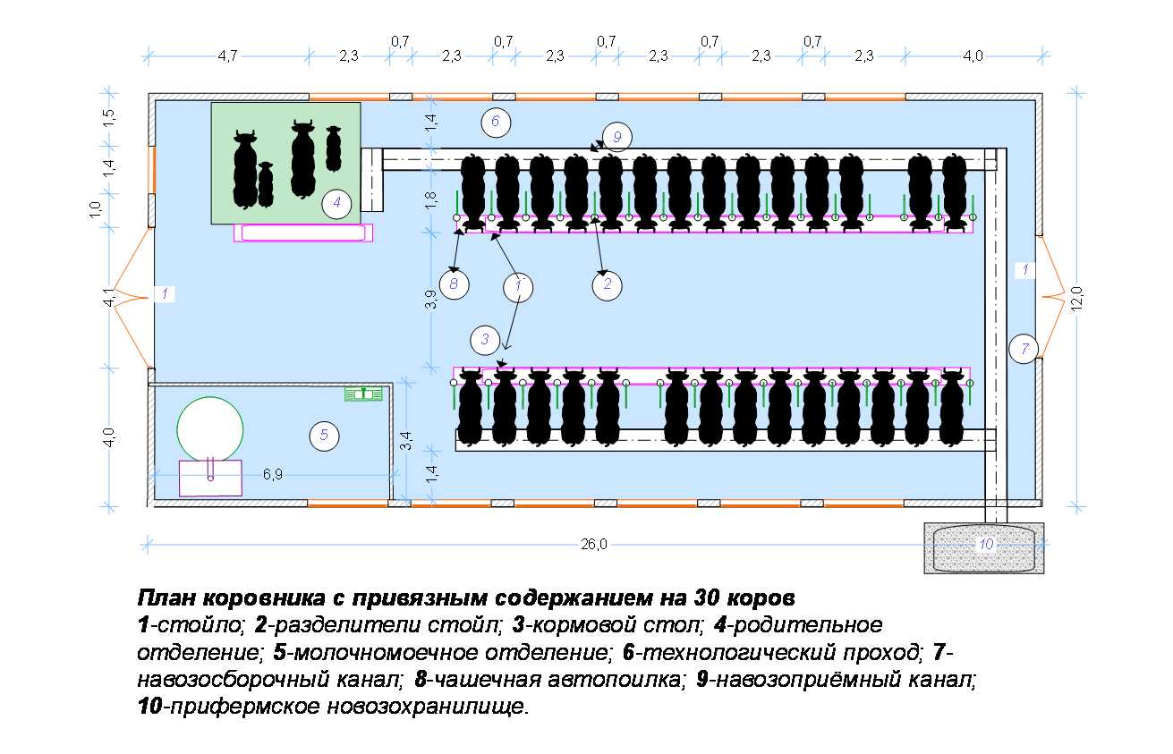 Коровник на 5 коров схема размеры для частного хозяйство