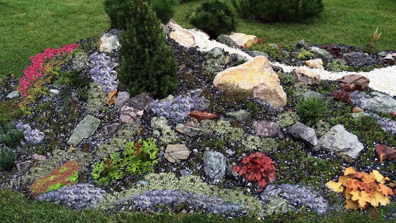 Как создать сад камней своими руками – 5 оригинальных идей | дизайн участка (огород.ru)