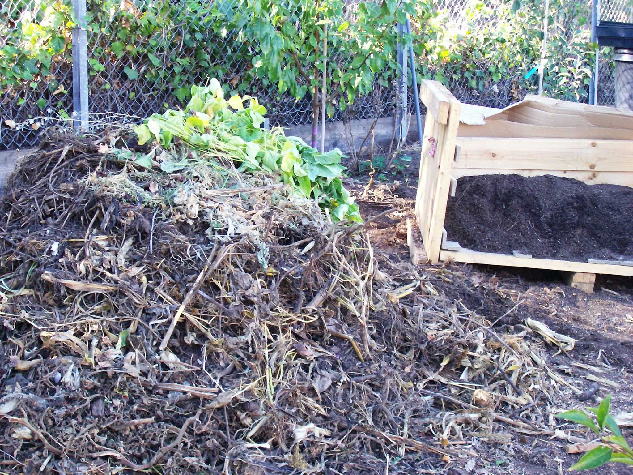 Компост из скошенной травы: как быстро и правильно сделать в яме, куче или мешках для мусора, а также иные способы приготовления и применения травяного перегноя
