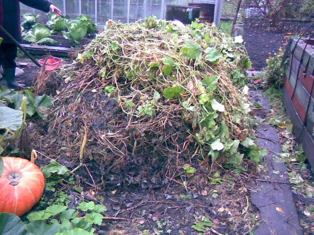 Как ускорить созревание компоста на даче: полезные советы