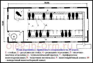 Как построить коровник своими руками: обустройство помещения для скота, выбор материалов