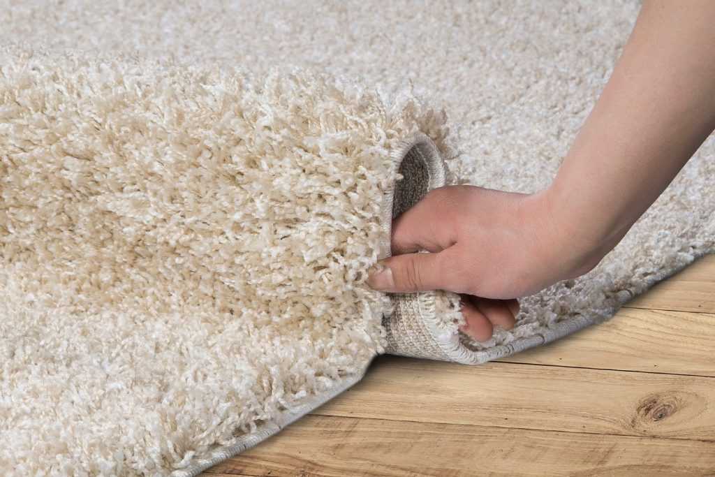 Быстрая и эффективная чистка ковролина в домашних условиях