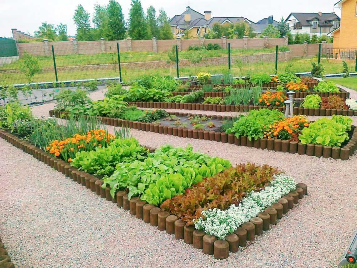 Как сделать красивый дизайн огорода своими руками: 100 фото