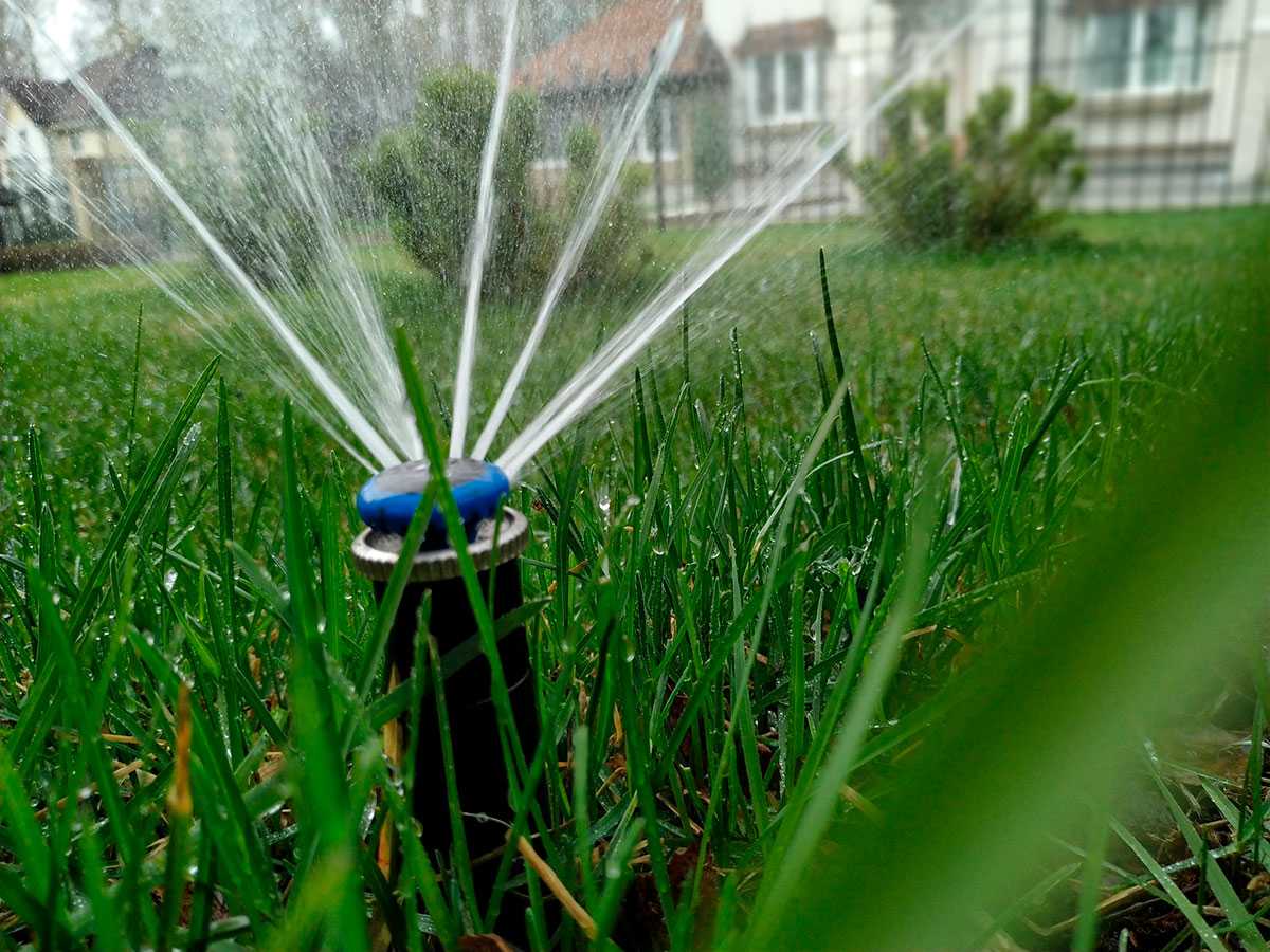 Распылитель для воды: садовый импульсный разбрызгиватель для огорода, поливалки своими руками