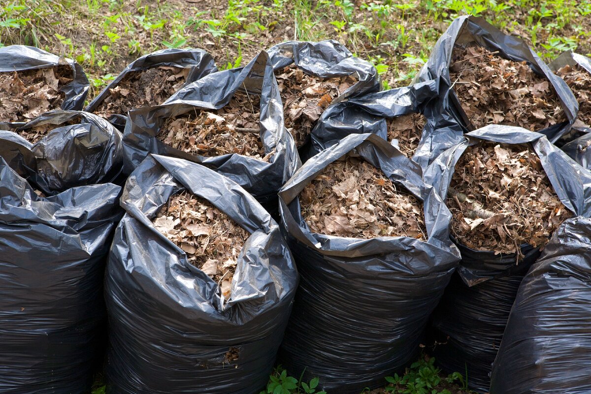 Переработка пищевых отходов в удобрения: как сделать органический компост дома на кухне и на даче, что можно класть в него, правила и нюансы компостирования