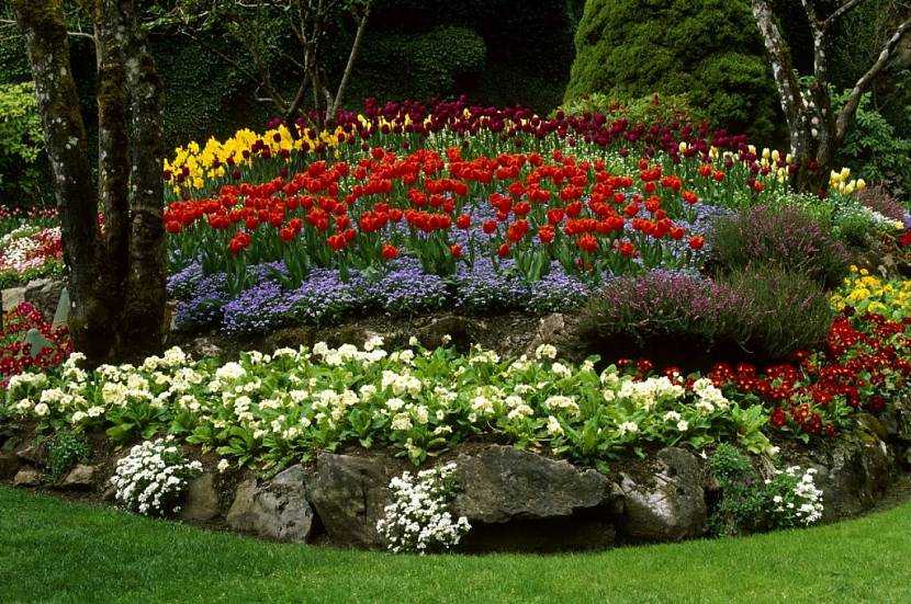Как красиво посадить цветы на даче: правила, схемы, возможные композиции