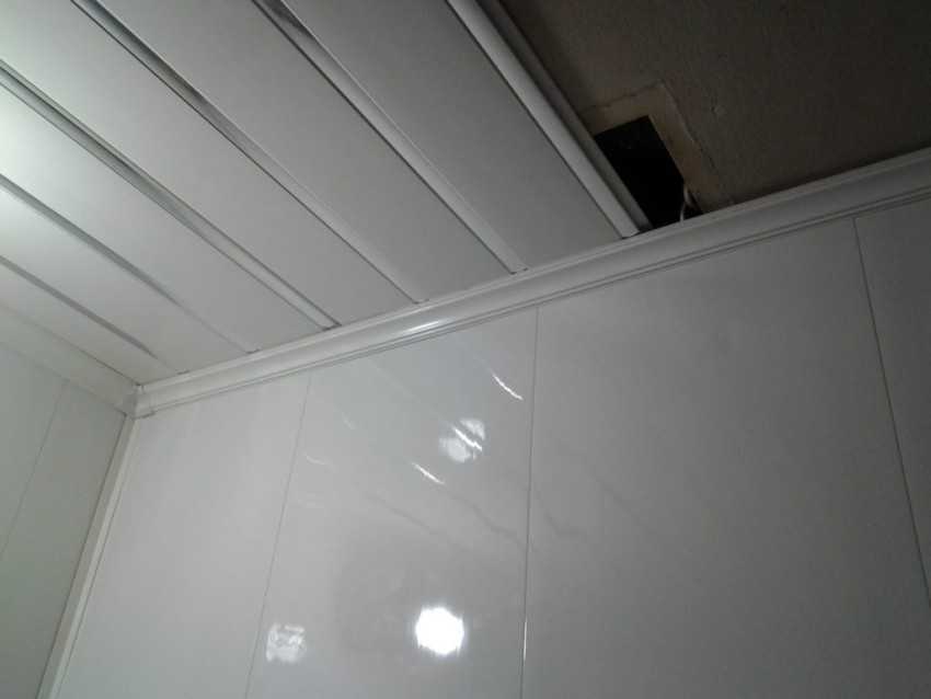 Стеновые панели для туалета: как приклеить пластиковые панели для потолка санузла, какие требования к отделке во влажной среде, и советы, с чего начать монтаж