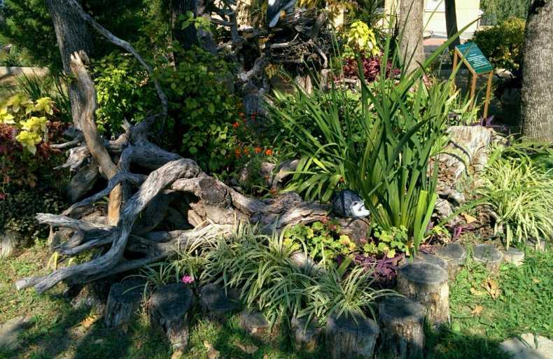 Как сделать рутарий в ландшафтном дизайне сада - школа садовода