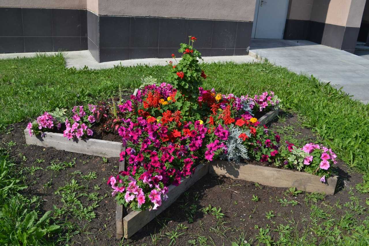 Ландшафтный дизайн клумб (69 фото): оформление цветников перед домом своими руками, варианты с хвойниками и цветами