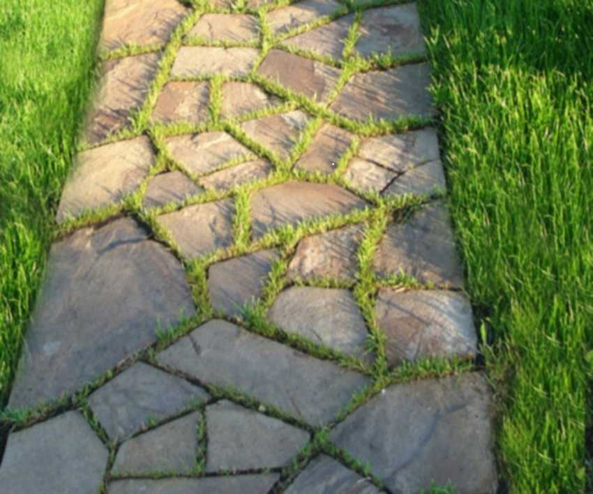 Садовые дорожки из камня: 9 лучших материалов для отделки, их формы и способы укладки, фото