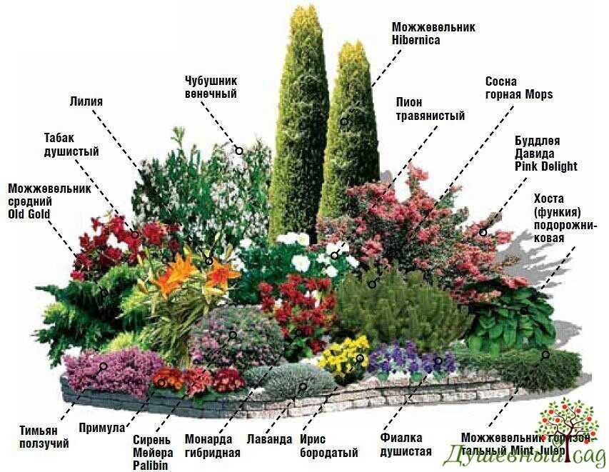 10 простых идей, которые помогут создать сад мечты | дизайн участка (огород.ru)