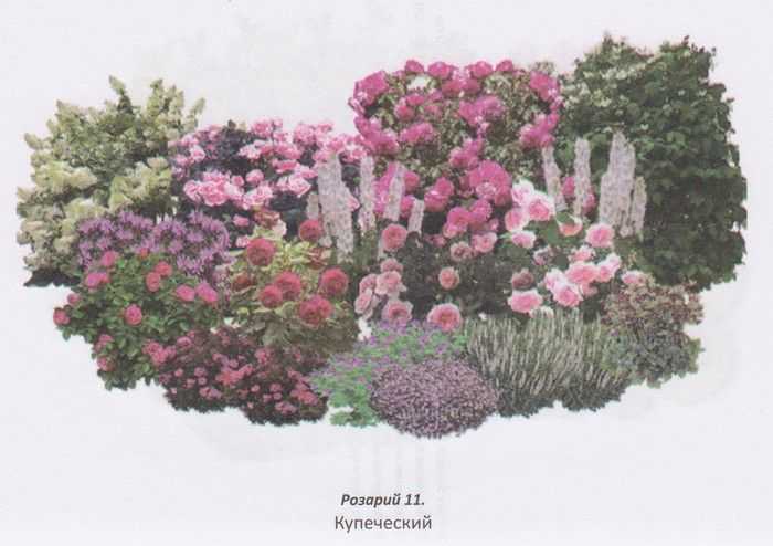 Розарий на даче: 175 фото современных идей красивой разбивки цветника