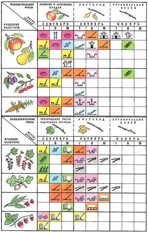 Расписание плодовое. Таблица подкормки ягодных и овощных культурах. Работы в саду и огороде по месяцам таблица. Таблица подкормки плодово-ягодных культур по месяцам. Календарь работ по саду по месяцам.